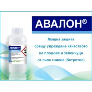 Авалон
