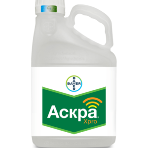 Аскра експо