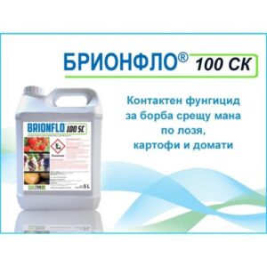 брионфло
