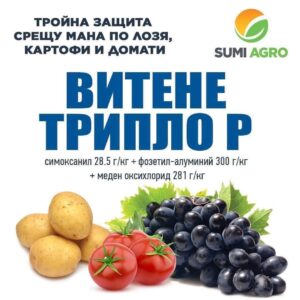 Витене трипло