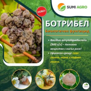 Ботрибел 1