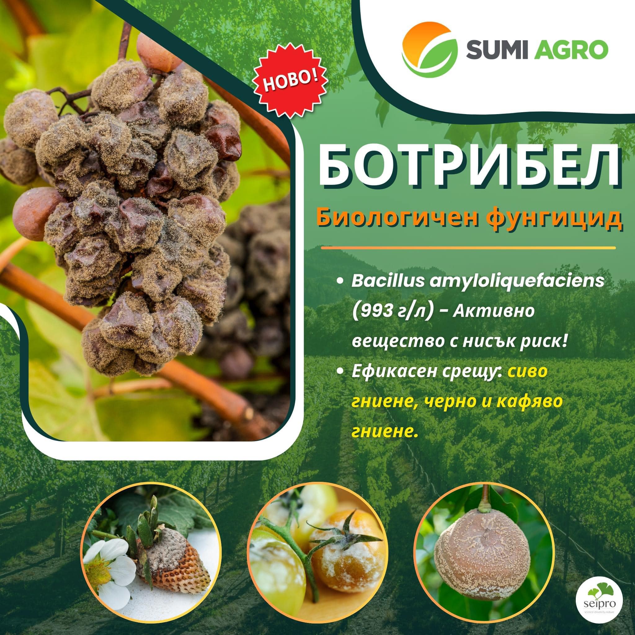 Ботрибел 1