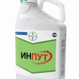 ИНПУТ 5Л