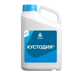 КУСТОДИЯ
