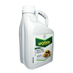 ПРОПУЛС 250 СЕ (Propulse)