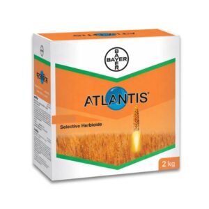 АТЛАНТИС АКТИВ ВГ