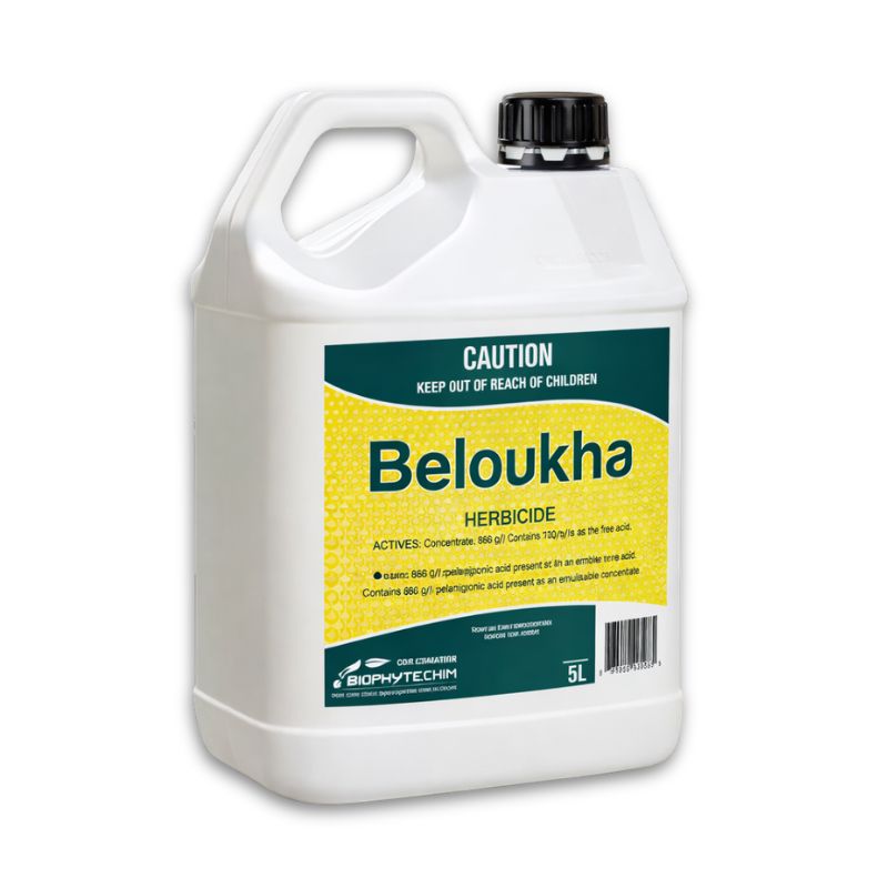 БЕЛУКА