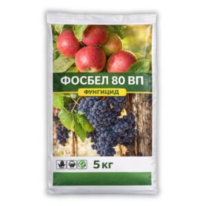ФОСБЕЛ 80 ВП