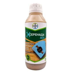 Серенада Асо