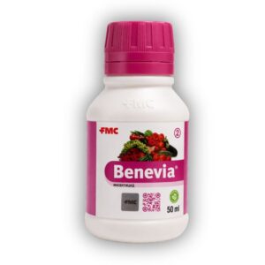 БЕНЕВИЯ