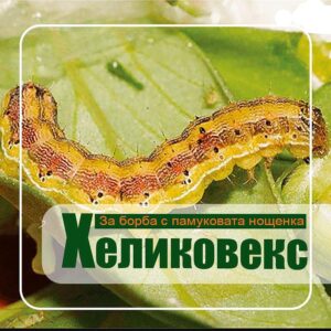 Хеликовекс