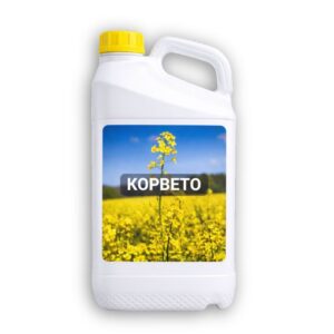 корвето