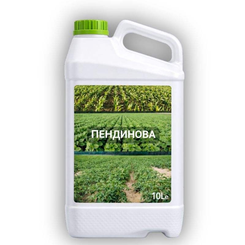 ПЕНДИНОВА - 10л