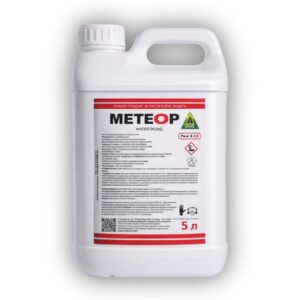 МЕТЕОР